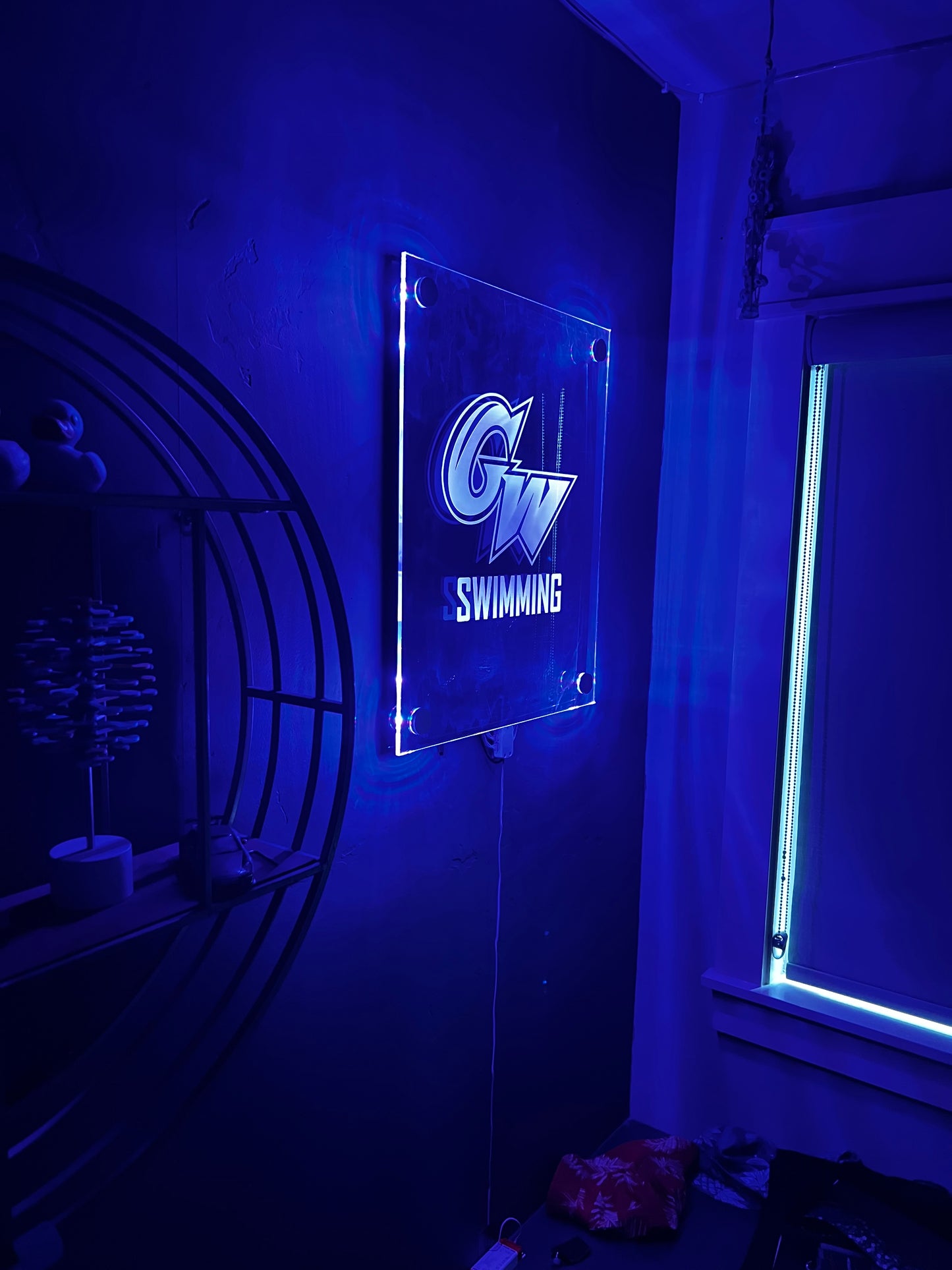 Custom College LED Sign